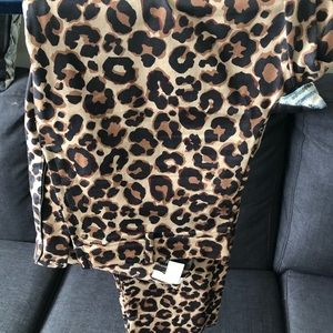 Women’s print pant